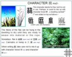 华文详解:木林麻魔
